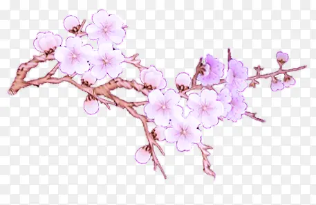 ��ɫ��֦�ֻ�廭-������