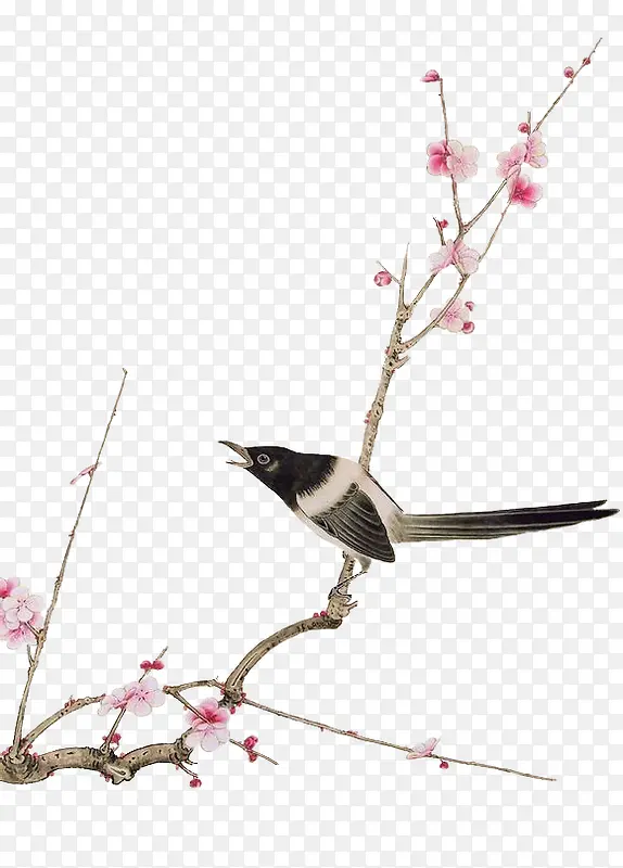 �������ӻ�֦��֦-������