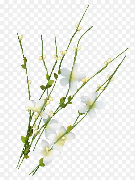 ��ɫ��֦-������