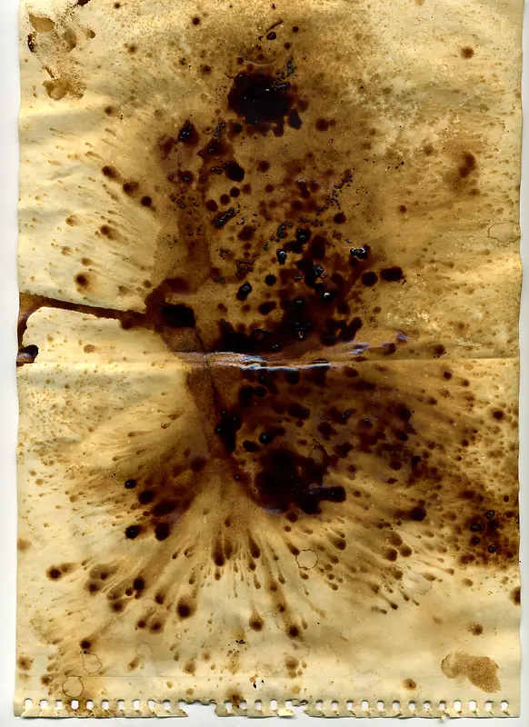 ī������ֽ�ű���-������