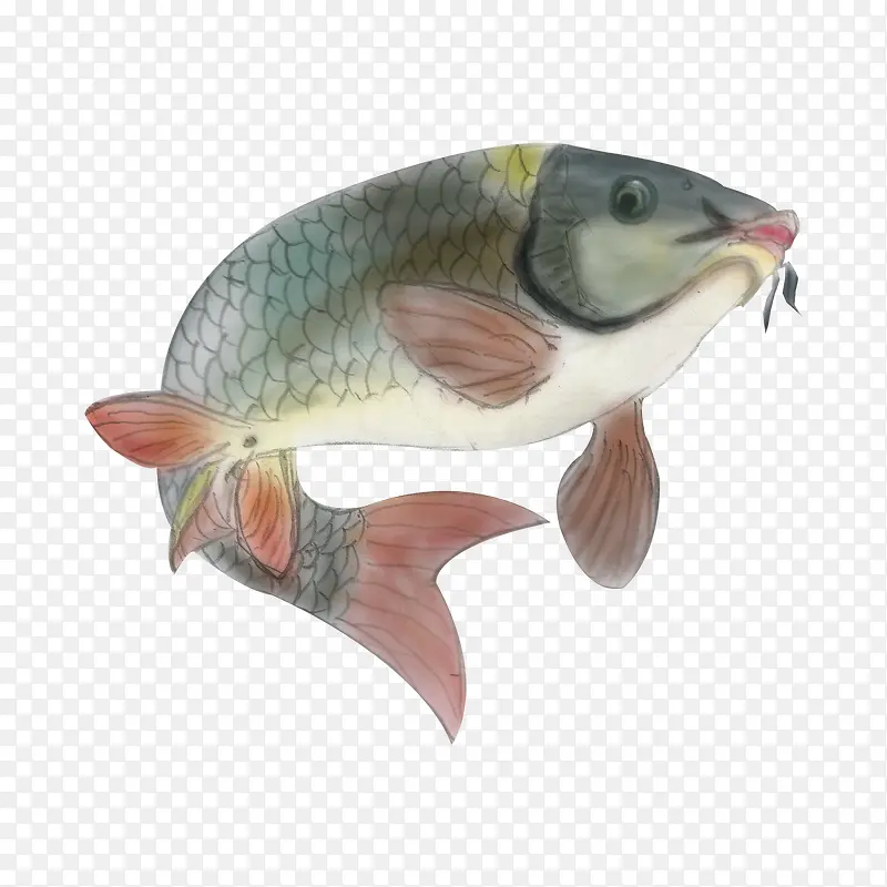 �й���ˮ�ʻ�����-������