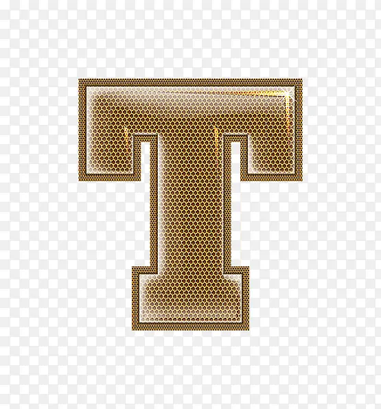 ��������ĸt-������