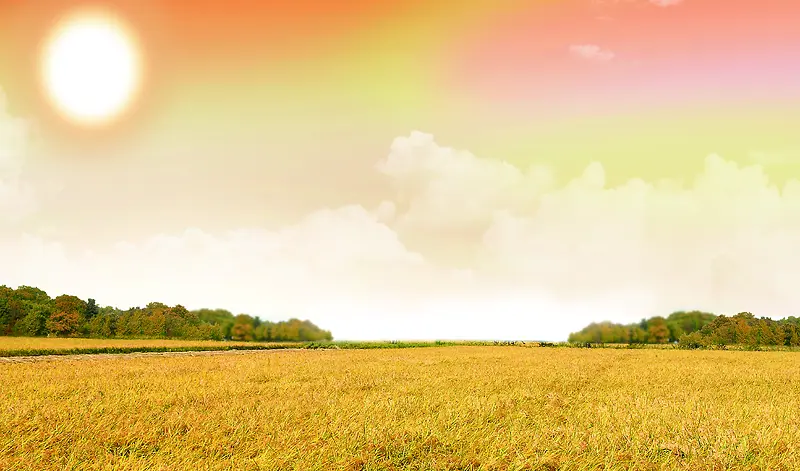 ��ɫ�������ݵ�-������