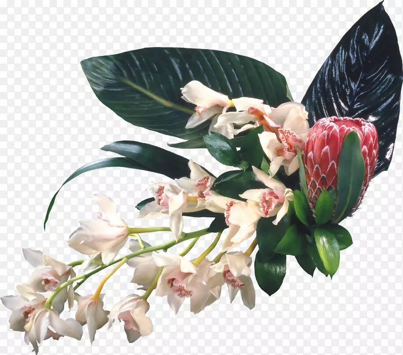 �л�������������������-������