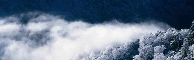 ��ձ����ز���Ȼ�����ز�-������