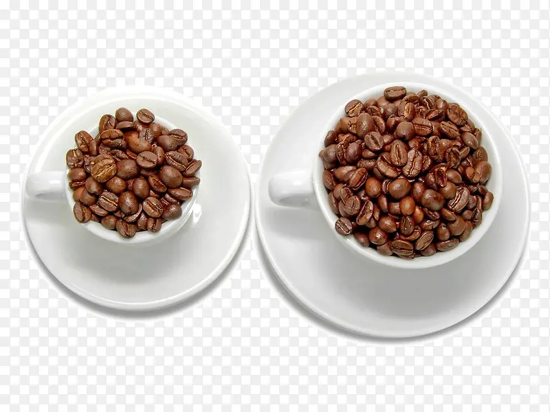 ���ȶ� ���� ���ȱ�-������