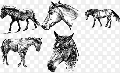 �ֻ���ƥ-������