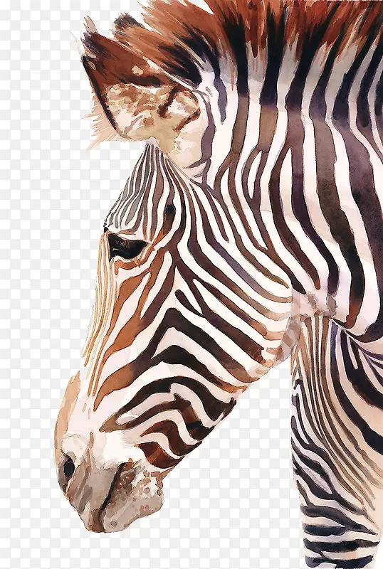 �����廭-������