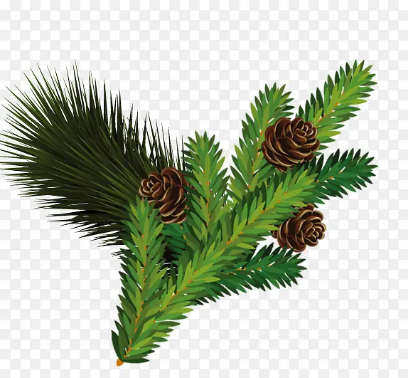 ����֦-������