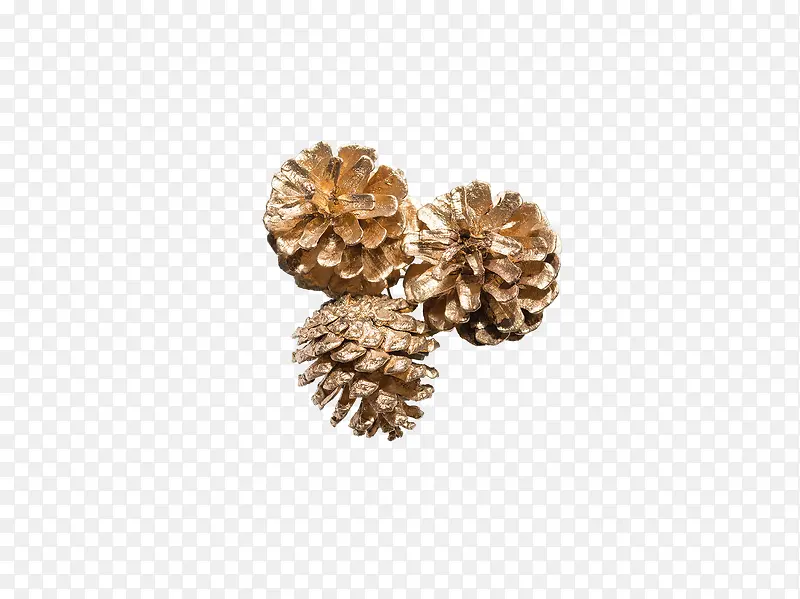 ʥ����װ��-������