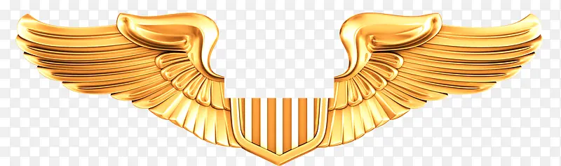 Ψ��������ɫ��򱳾�װ��-������