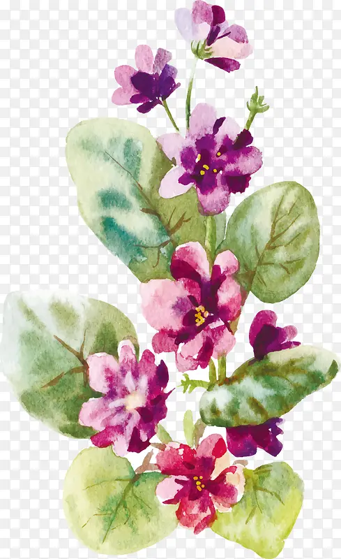 ˮ����ɫ�Ļ�-������