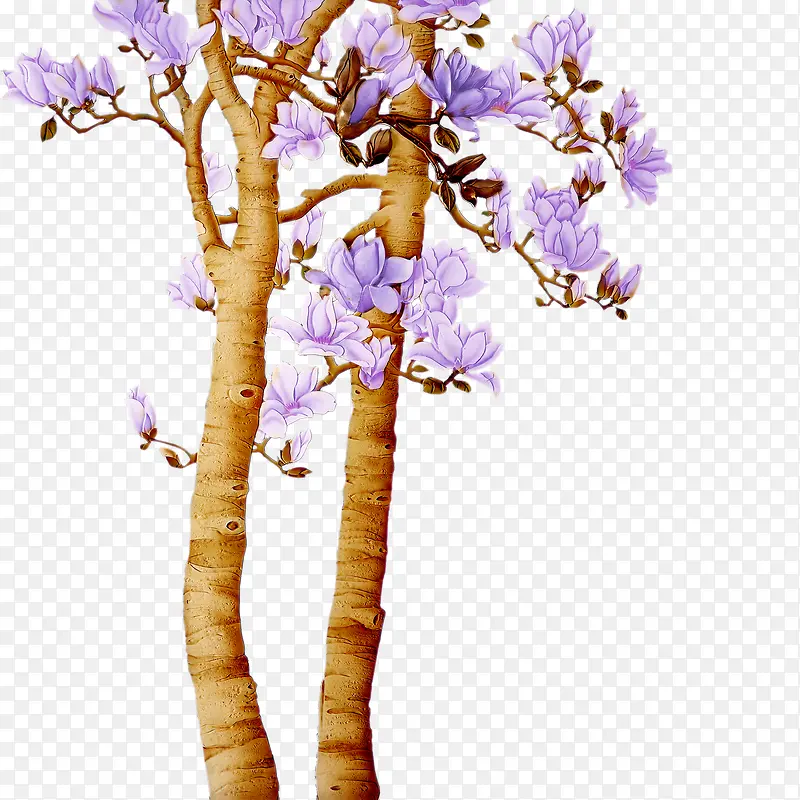 ����-������