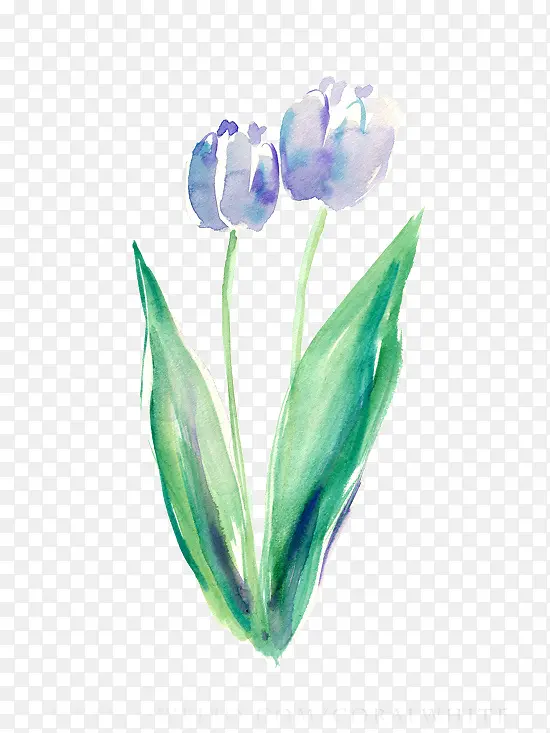 �ֻ滨-������