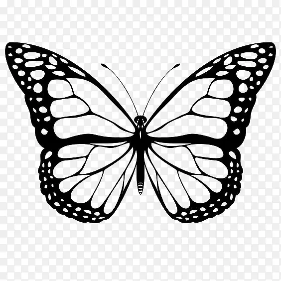 ��ɫ�οպ���װ��ͼ��-������