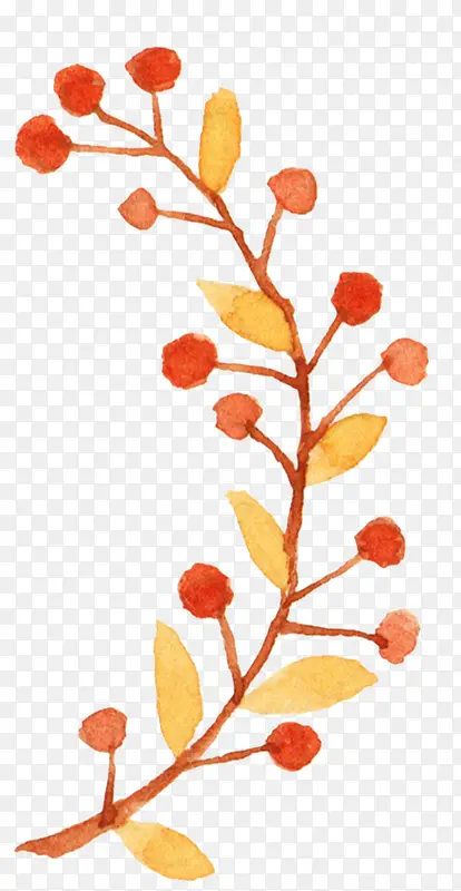 ˮ��ֲ��-������