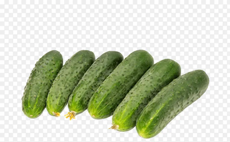 ���ʳ��-������