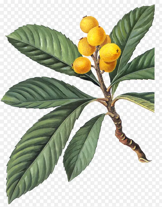 ����-������