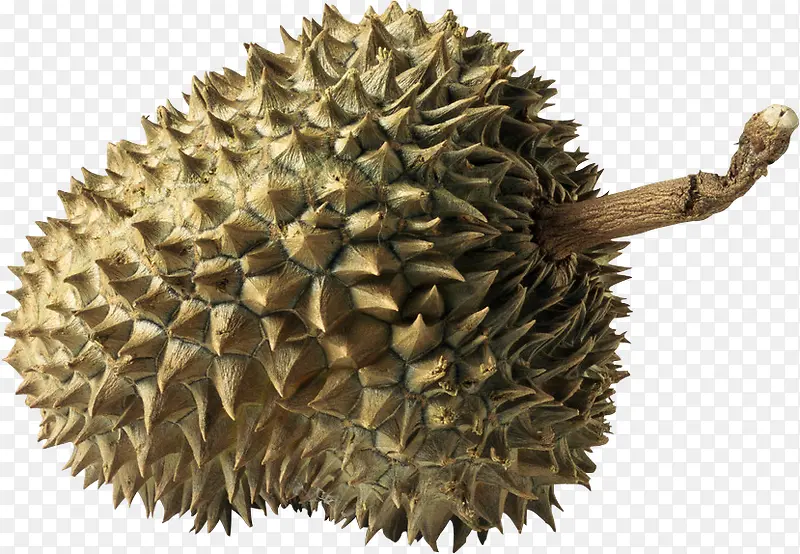 ˮ��-������