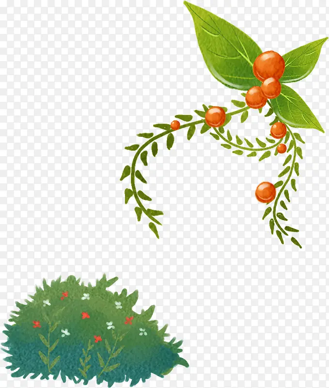 �ɰ��ֻ��ʵֲ��-������