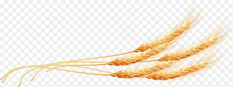 С�������ʵ��Ȼʳ��ʸ��-������