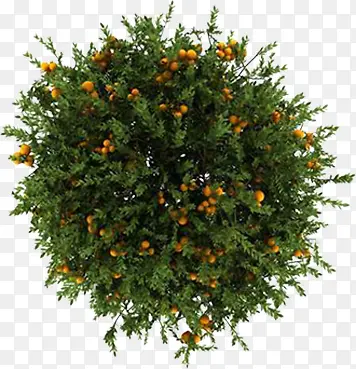 ������Ӱֲ���ʵ-������