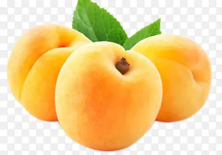 �������ˮ����ʵ-������