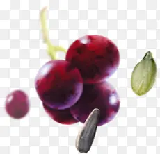 ��ʵ�������ʸ���-������