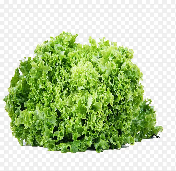 ��ɫ�˻�-������