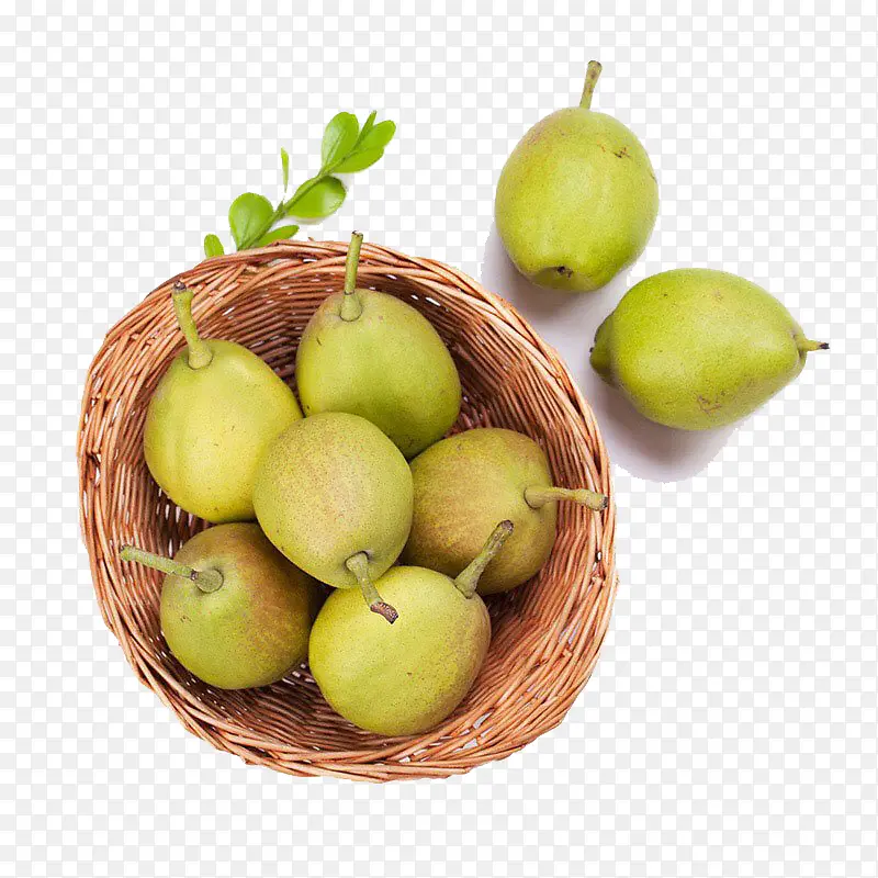 ��ɫ����-������