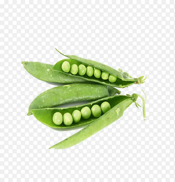 ��ɫ��ѿ-������