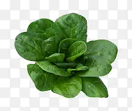 ���-������