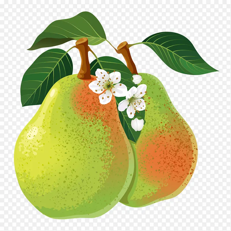 �ֻ�-������