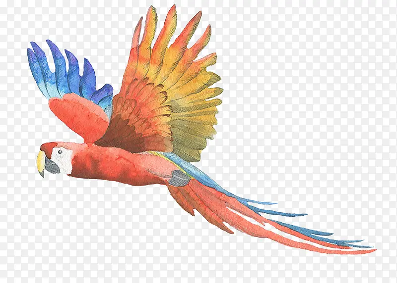 ˮ�����-������