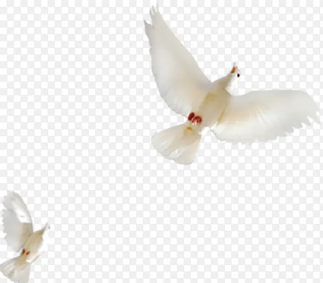 �����ɫ��ƽ�������Ӱ-������