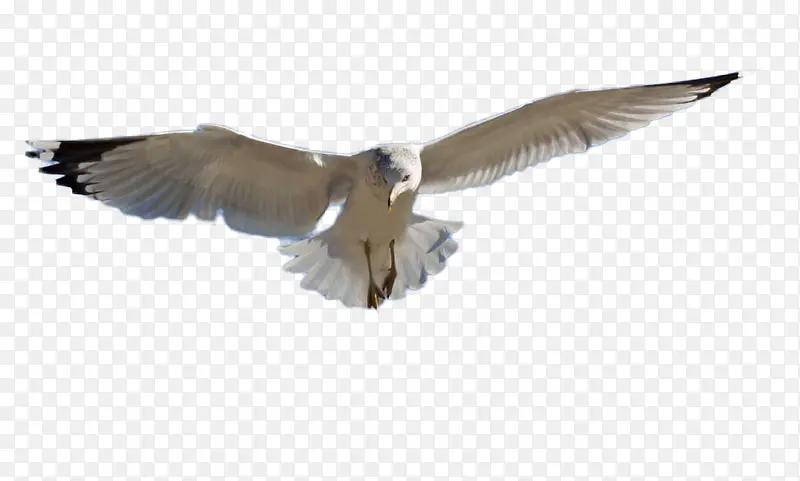 ����-������