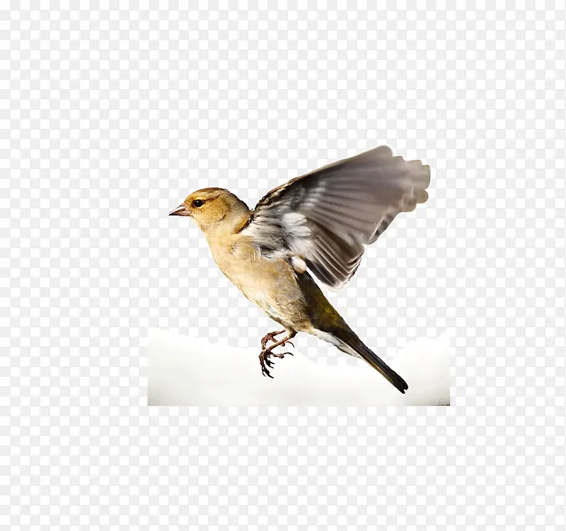 ����-������