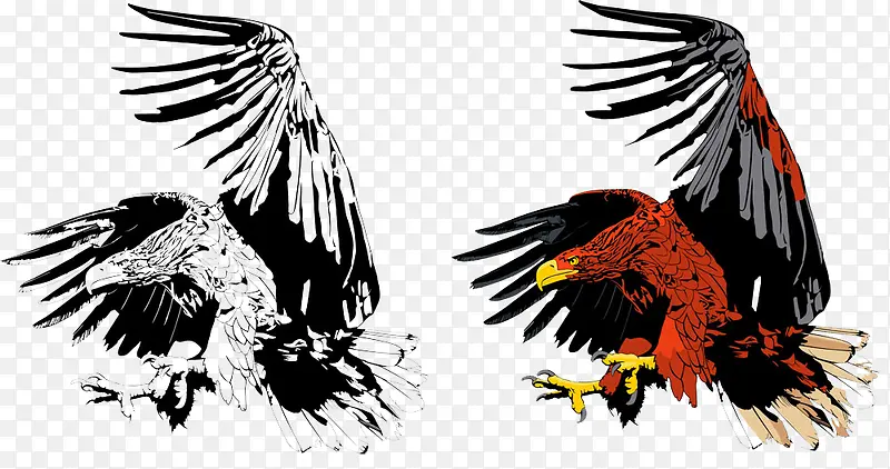 �������ӥ-������