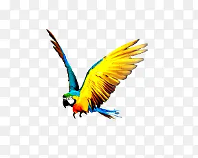 ���Ļ�ɫ������ķ��������-������