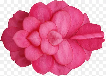 ��Ϧ�����ɫ����-������