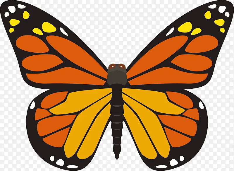 ��������ʸ���걾-������