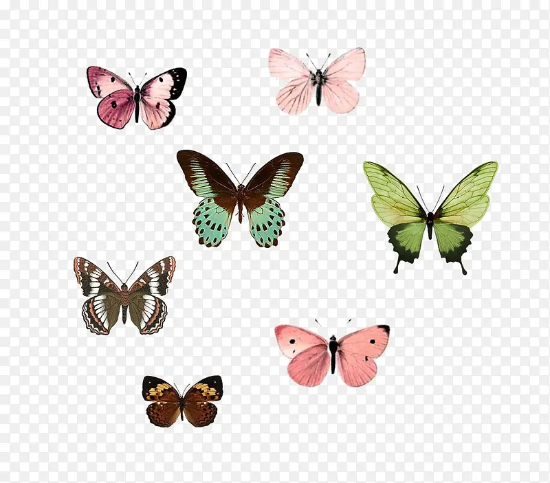 ����-������