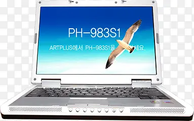 ���������ز�-������