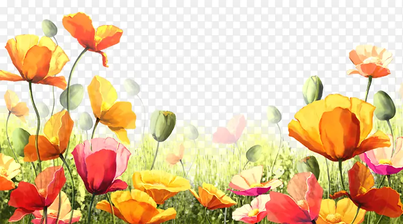 ˮ�ʿ���ܰ-������