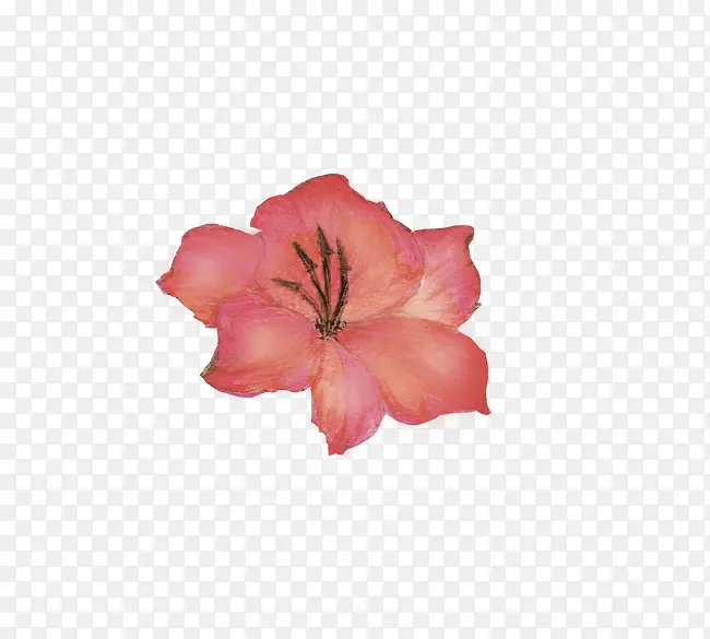 ��-������