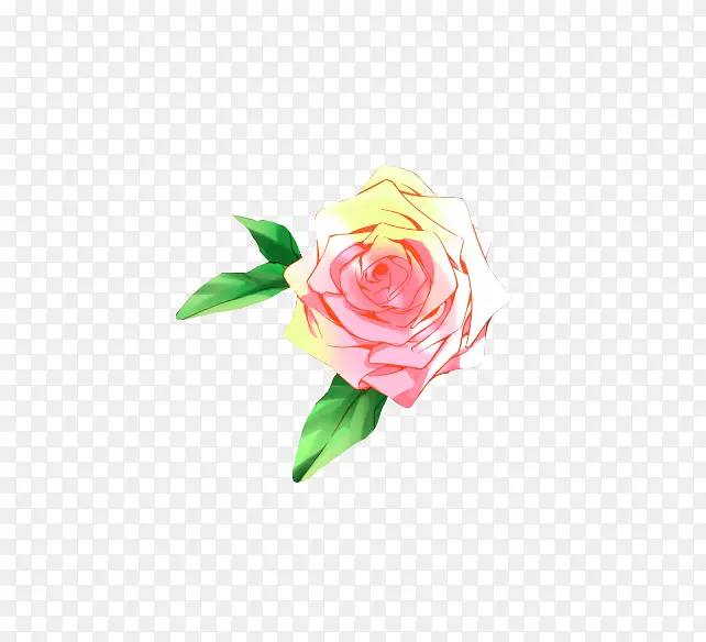 ����ˮ��õ�廨-������