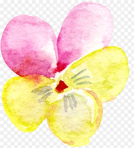 ���������ɫˮ�ʻ�-������