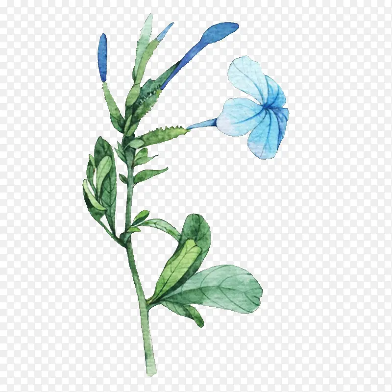 ˮ�ʻ�-������