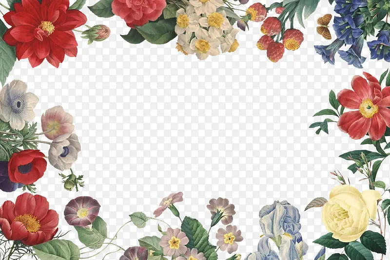 ���²�ɫ�߿򻨶�-������