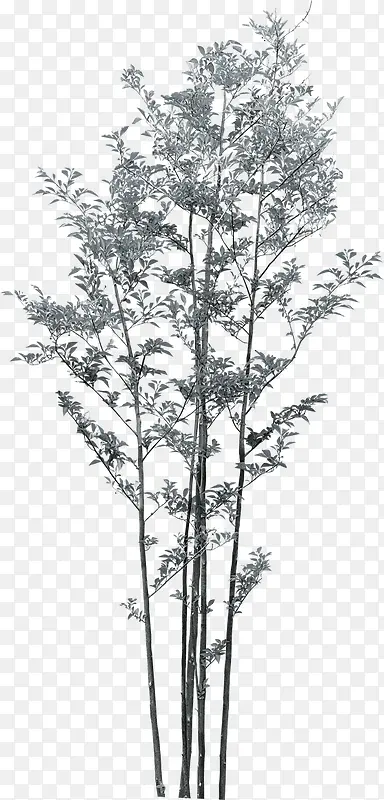 ������֦����װ��-������